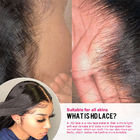 La densità 13x6 HD di 250% merletta i capelli umani diritti dell'osso frontale della parrucca per le donne di colore